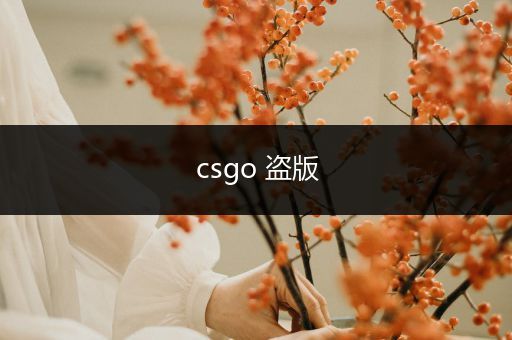 csgo 盗版