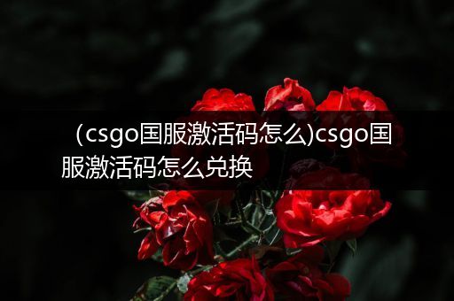 （csgo国服激活码怎么)csgo国服激活码怎么兑换