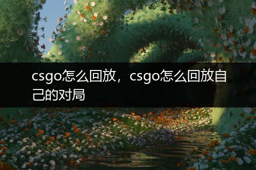 csgo怎么回放，csgo怎么回放自己的对局