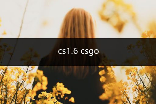 cs1.6 csgo