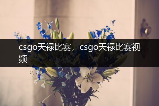 csgo天禄比赛，csgo天禄比赛视频