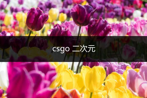 csgo 二次元