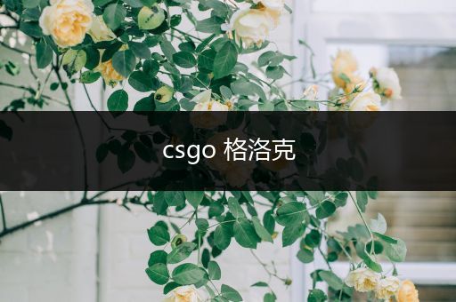 csgo 格洛克