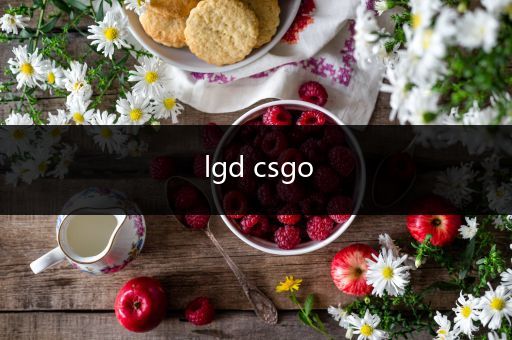 lgd csgo