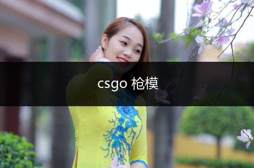 csgo 枪模