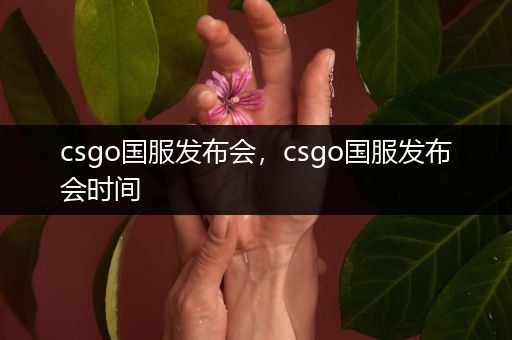 csgo国服发布会，csgo国服发布会时间