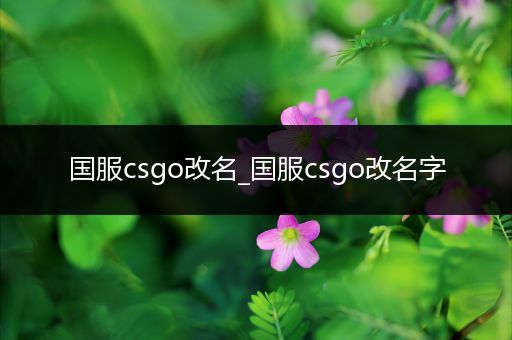 国服csgo改名_国服csgo改名字