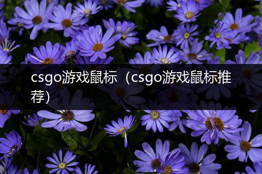 csgo游戏鼠标（csgo游戏鼠标推荐）