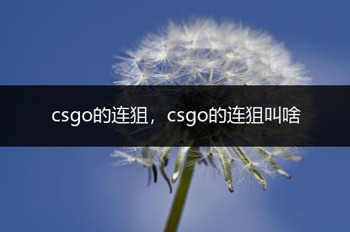 csgo的连狙，csgo的连狙叫啥