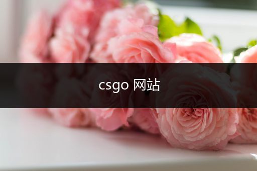 csgo 网站