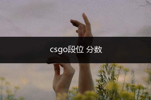 csgo段位 分数