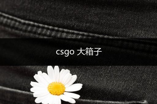 csgo 大箱子