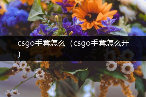 csgo手套怎么（csgo手套怎么开）