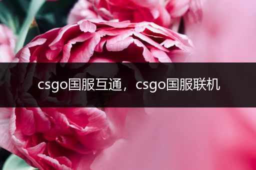 csgo国服互通，csgo国服联机