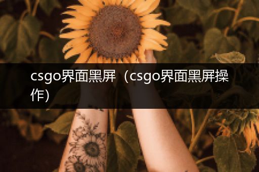 csgo界面黑屏（csgo界面黑屏操作）