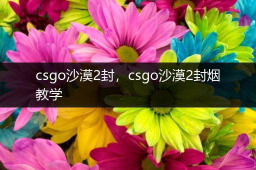 csgo沙漠2封，csgo沙漠2封烟教学