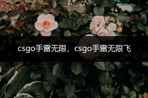 csgo手雷无限，csgo手雷无限飞