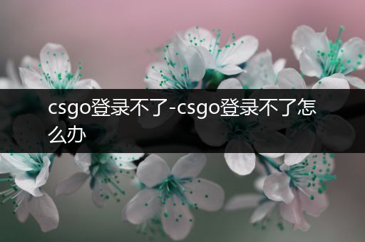 csgo登录不了-csgo登录不了怎么办