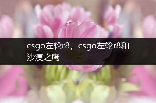 csgo左轮r8，csgo左轮r8和沙漠之鹰