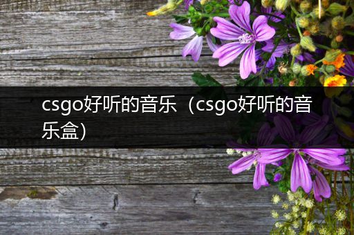 csgo好听的音乐（csgo好听的音乐盒）