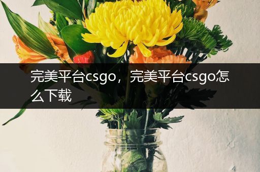 完美平台csgo，完美平台csgo怎么下载