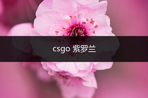 csgo 紫罗兰