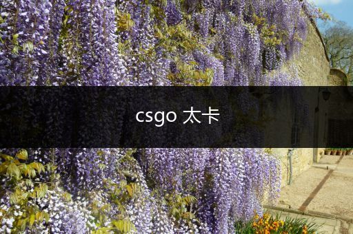 csgo 太卡