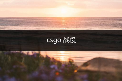 csgo 战役