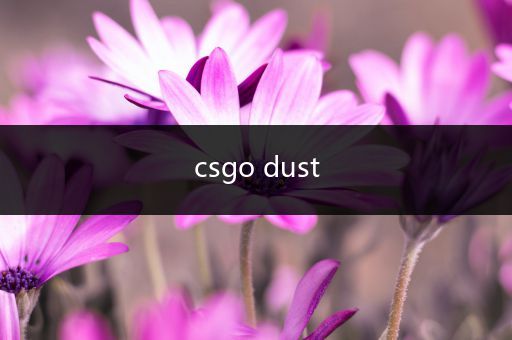 csgo dust