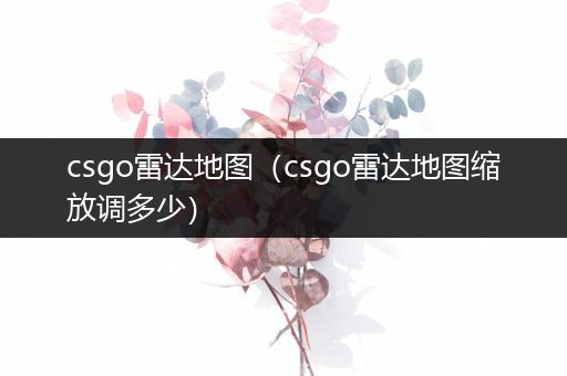 csgo雷达地图（csgo雷达地图缩放调多少）