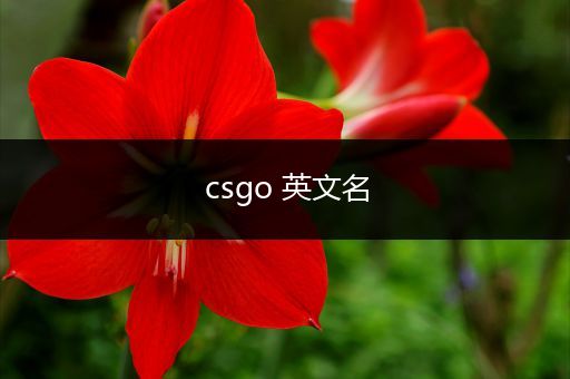 csgo 英文名