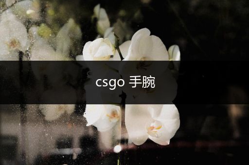 csgo 手腕