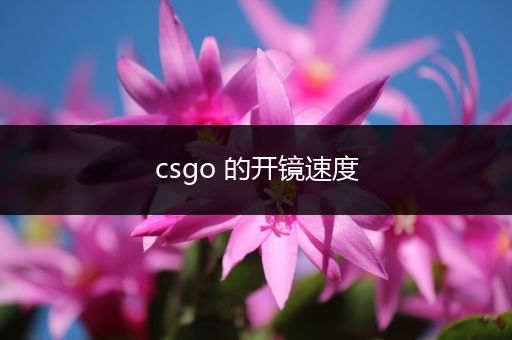 csgo 的开镜速度