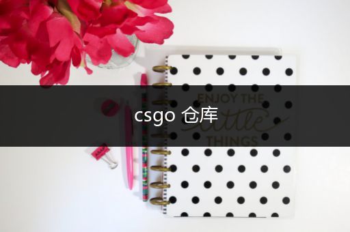 csgo 仓库