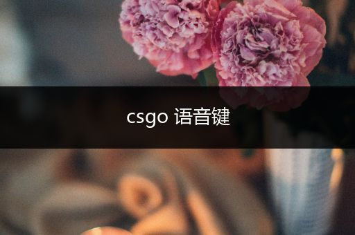 csgo 语音键