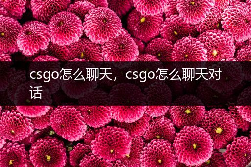 csgo怎么聊天，csgo怎么聊天对话