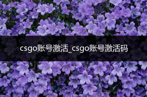 csgo账号激活_csgo账号激活码