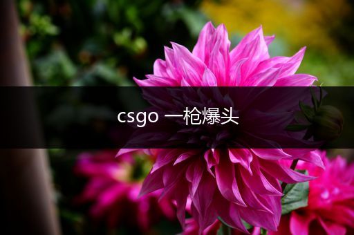 csgo 一枪爆头