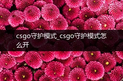 csgo守护模式_csgo守护模式怎么开