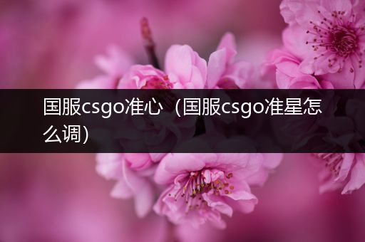 国服csgo准心（国服csgo准星怎么调）