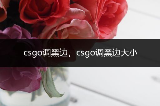 csgo调黑边，csgo调黑边大小