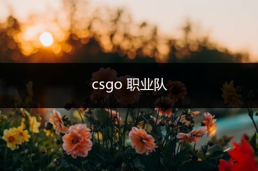 csgo 职业队