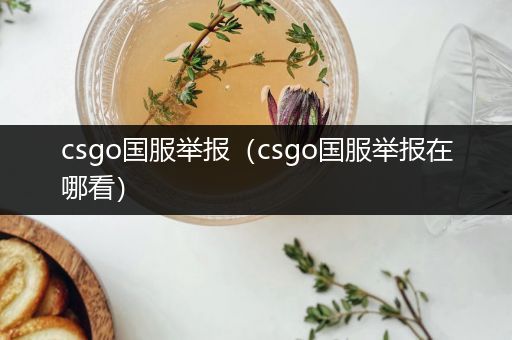 csgo国服举报（csgo国服举报在哪看）