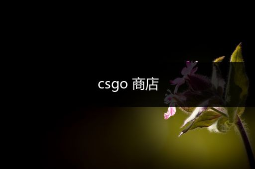 csgo 商店