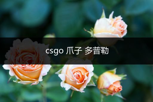 csgo 爪子 多普勒