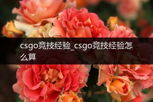 csgo竞技经验_csgo竞技经验怎么算