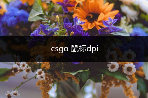 csgo 鼠标dpi