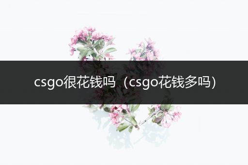 csgo很花钱吗（csgo花钱多吗）