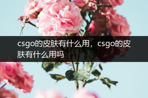 csgo的皮肤有什么用，csgo的皮肤有什么用吗