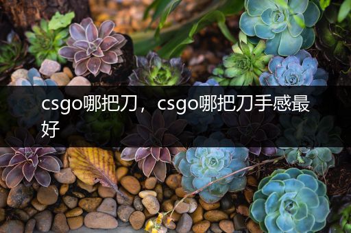 csgo哪把刀，csgo哪把刀手感最好